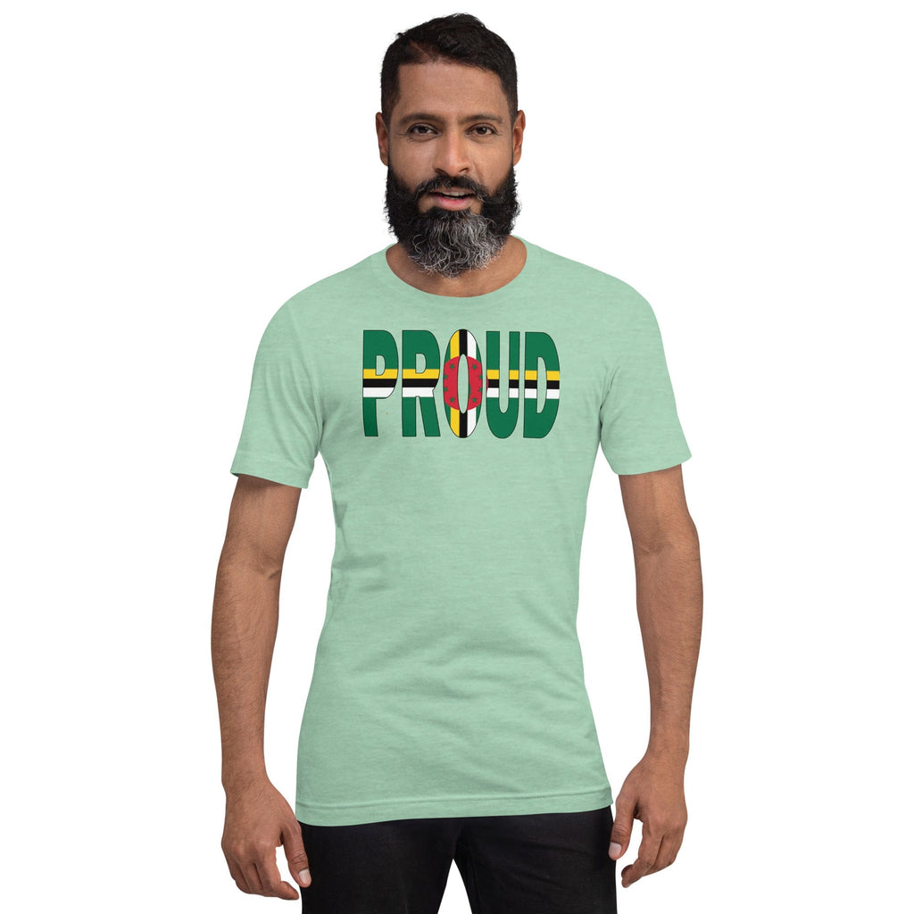 Proud Dominica Flag mint color t-shirt on a black man.