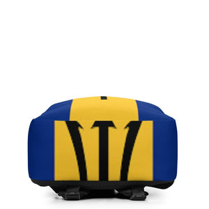 Barbados Flag bag bottom